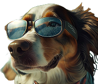 Weekend Special Dog